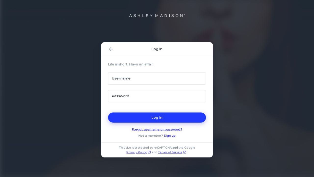 Ashley Madison image