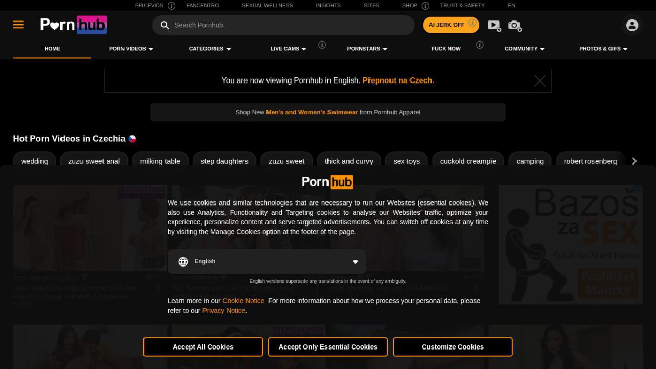 PornHub image