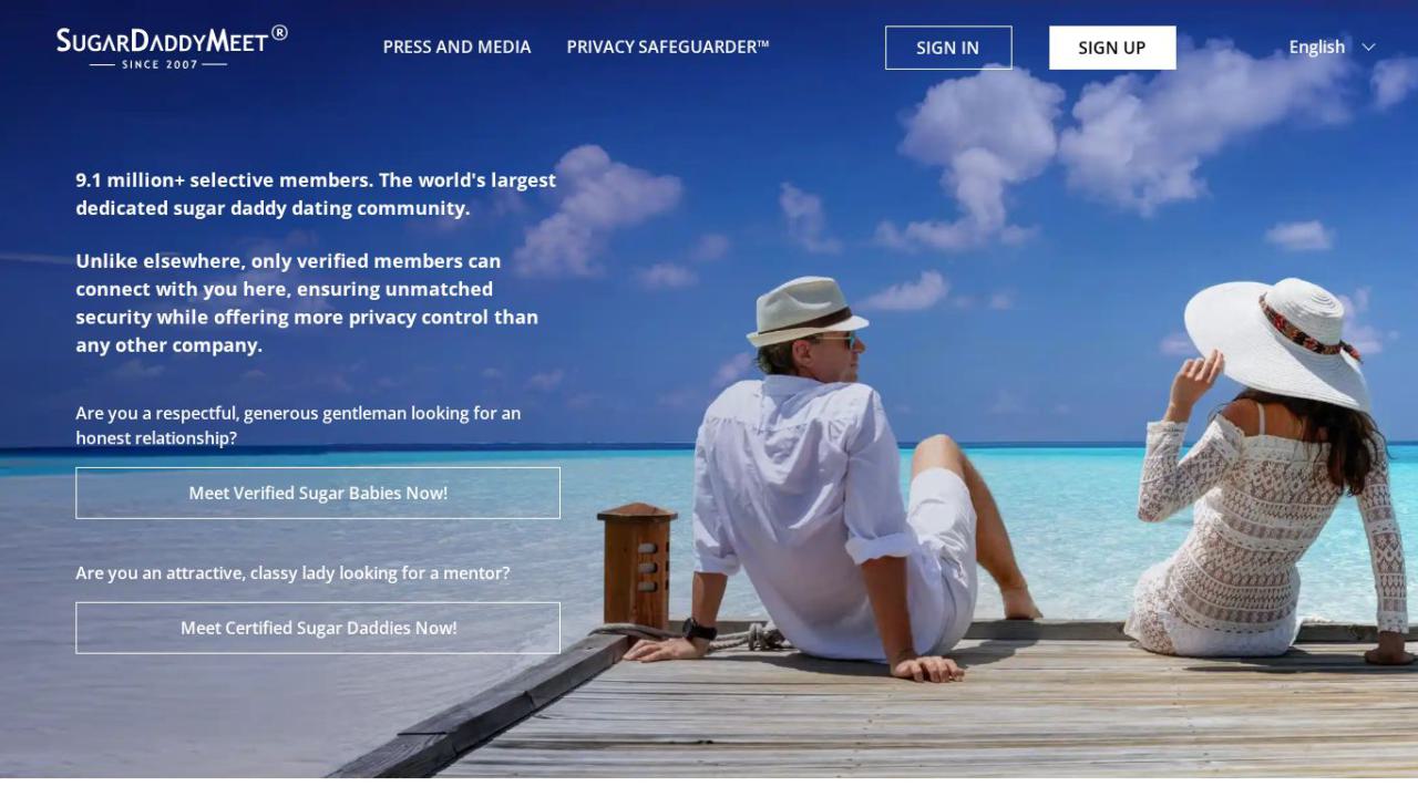 SugarDaddyMeet image